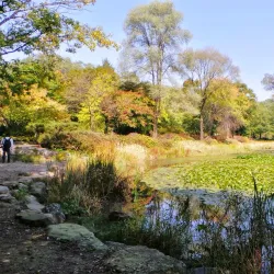 Gwangneung Arboretum - Yangju-si