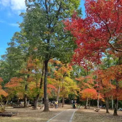 Gwangneung Arboretum - Yangju-si