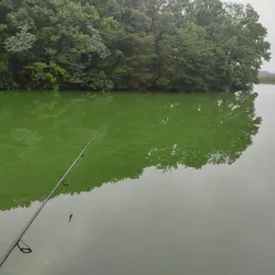 Jangheung Reservoir - Yangju-si