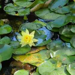 Seongbok Park - Yangju-si