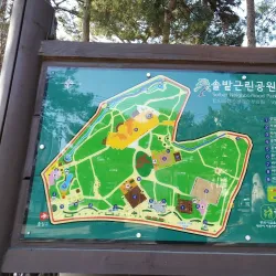 Seongbok Park - Yangju-si