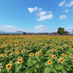 Cheonseongdae Observatory - Yangsan