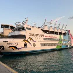 Jangsaengpo Whale Museum - Yangsan