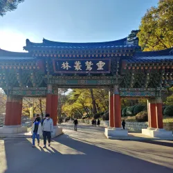 Tongdosa Temple - Yangsan