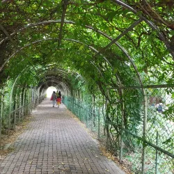 Yangsan Arboretum - Yangsan