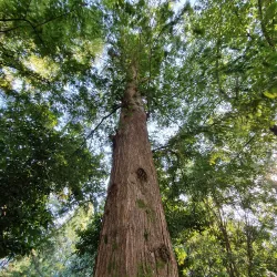 Yangsan Arboretum - Yangsan