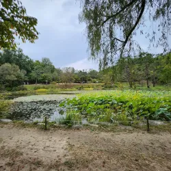 Yangsan Arboretum - Yangsan