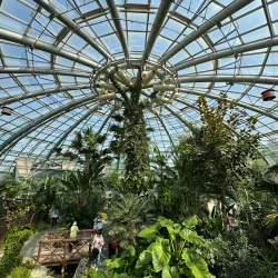 Yangsan Arboretum - Yangsan