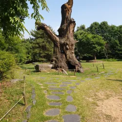 Yangsan Arboretum - Yangsan