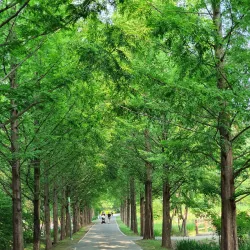 Yangsan Arboretum - Yangsan