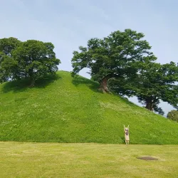 Bonghwangdae Peak - Yeongcheon