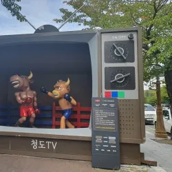 Cheongdo Bullfighting Stadium - Yeongcheon