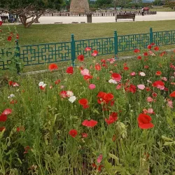 Seongju Daegaya Historic Site - Yeongcheon