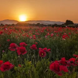 Seongju Daegaya Historic Site - Yeongcheon