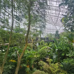 Yeongcheon Arboretum - Yeongcheon