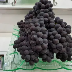 Yeongcheon Grape Festival - Yeongcheon