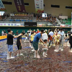 Yeongcheon Grape Festival - Yeongcheon