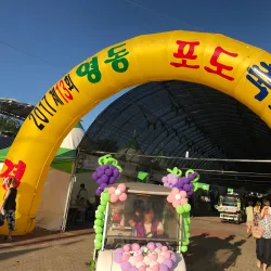 Yeongcheon Grape Festival - Yeongcheon