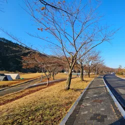 Yeongcheon Riverside Park - Yeongcheon