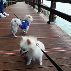 Manseongri Black Sand Beach - Yeosu
