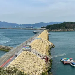 Odongdo Island - Yeosu