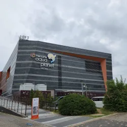 Yeosu Aquarium - Yeosu