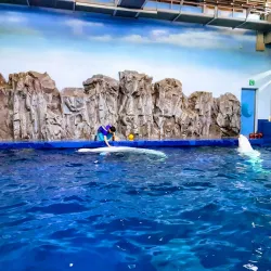 Yeosu Aquarium - Yeosu