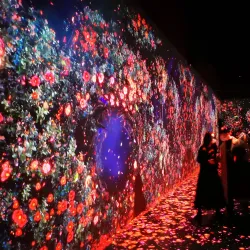 Yeosu National Museum - Yeosu