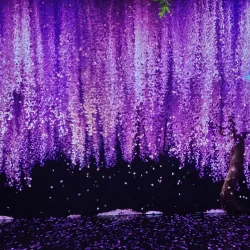 Yeosu National Museum - Yeosu