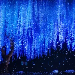 Yeosu National Museum - Yeosu