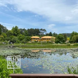 Yesan Arboretum - Yesan