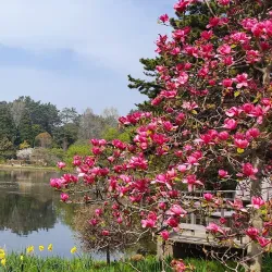 Yesan Arboretum - Yesan