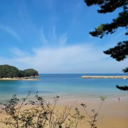 Yesan Arboretum - Yesan