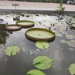 Yesan Arboretum - Yesan