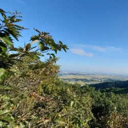 Yesan Hiking Trails - Yesan