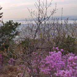 Yesan Hiking Trails - Yesan