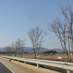 Yesan Seodang - Yesan