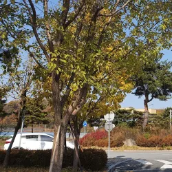 Yesan Seodang - Yesan