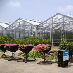 Yesan Seodang - Yesan