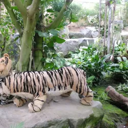 Yesan Seodang - Yesan