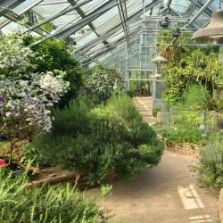 Cheoin Arboretum - Yongin