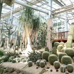 Cheoin Arboretum - Yongin