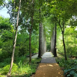 Cheoin Arboretum - Yongin
