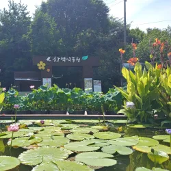 Cheoin Arboretum - Yongin