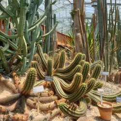 Cheoin Arboretum - Yongin