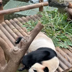 Everland Resort - Yongin