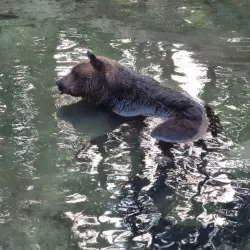 Everland Resort - Yongin