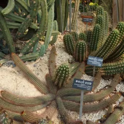 Hantaek Botanical Garden - Yongin