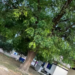 Local Fishing Villages - Bor