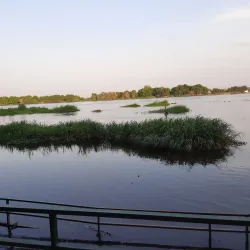White Nile River - Bor